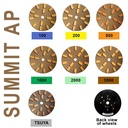 SummitAPGroup.jpg
