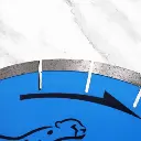 Close-Up-Blue-Cheetah.webp